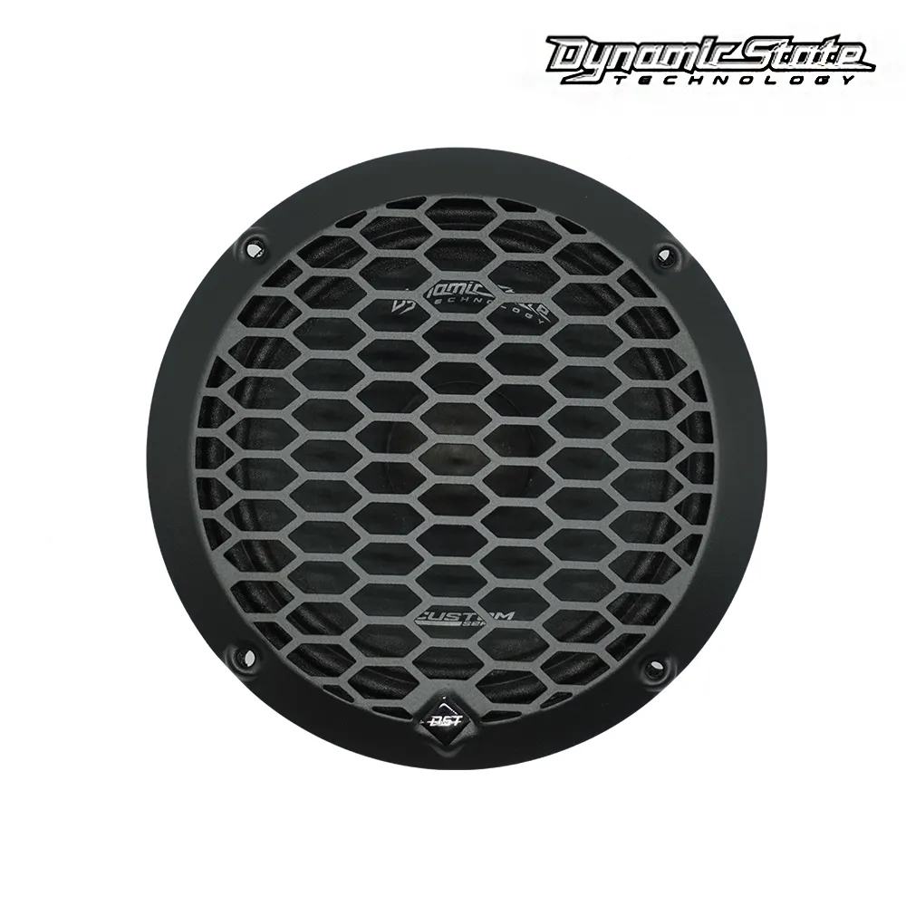 Focal 165 AS3.jpg