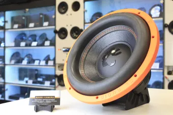 Купить Сабвуфер DL Audio Piranha 12 V.2 - купить, 5 590 руб.