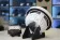 Коаксиальная морская акустика Dynamic State NAUTICA NS-X17W White - купить, 11 050 руб.