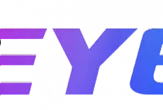 TEYES