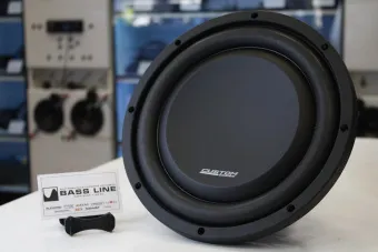 Купить Пассивный сабвуфер Dynamic State CUSTOM CSW-S25 10" D2 - купить, 6 350 руб.