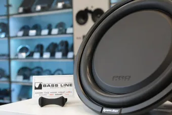 Купить Пассивный сабвуфер Dynamic State PRO PSW-250S 10" D2 - купить, 7 650 руб.