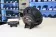 Коаксиальная акустика AMP PRO 652 VER.3 - купить, 7 035 руб.