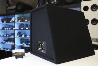 Купить Активный сабвуфер Piranha 12A Lite SE - купить, 10 990 руб.