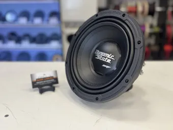 Купить Пассивный сабвуфер Dynamic State Skif SKW-252 10" D2 - купить, 6 760 руб.