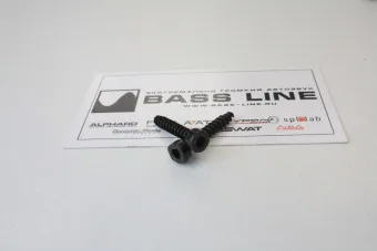 Купить Винт-саморез Audio Nova Hexagonal screws Blk 4*20mm - купить, 8 руб.
